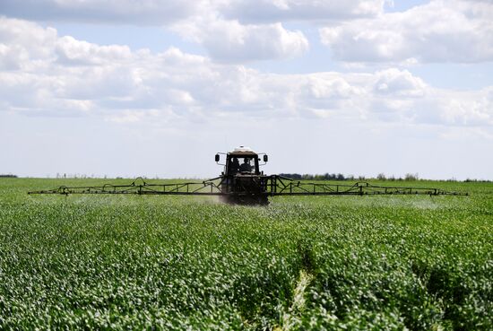 Ukraine Russia Military Operation Agriculture