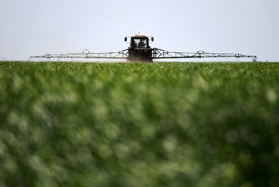 Ukraine Russia Military Operation Agriculture