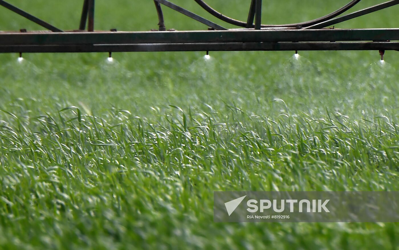 Ukraine Russia Military Operation Agriculture