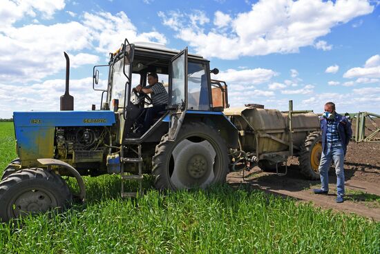 Ukraine Russia Military Operation Agriculture