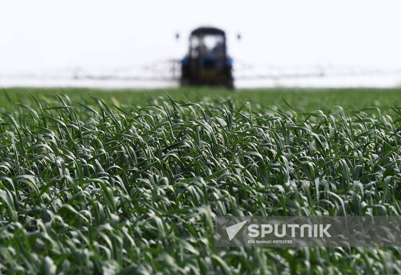 Ukraine Russia Military Operation Agriculture
