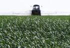 A view shows processing of winter crops from pests, in Zaporizhzhia region, partially controlled by pro-Russian troops, Ukraine. Location: Ukraine, Zaporizhzhia region. Author: RIA Novosti/Sputnik. Ukraine Russia Military Operation Agriculture