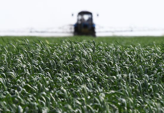 Ukraine Russia Military Operation Agriculture
