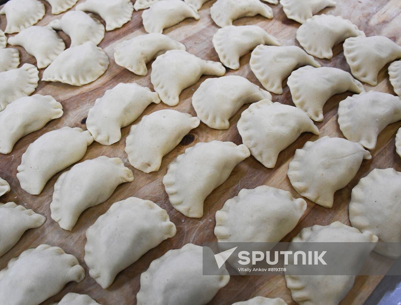 Russia Food Industry