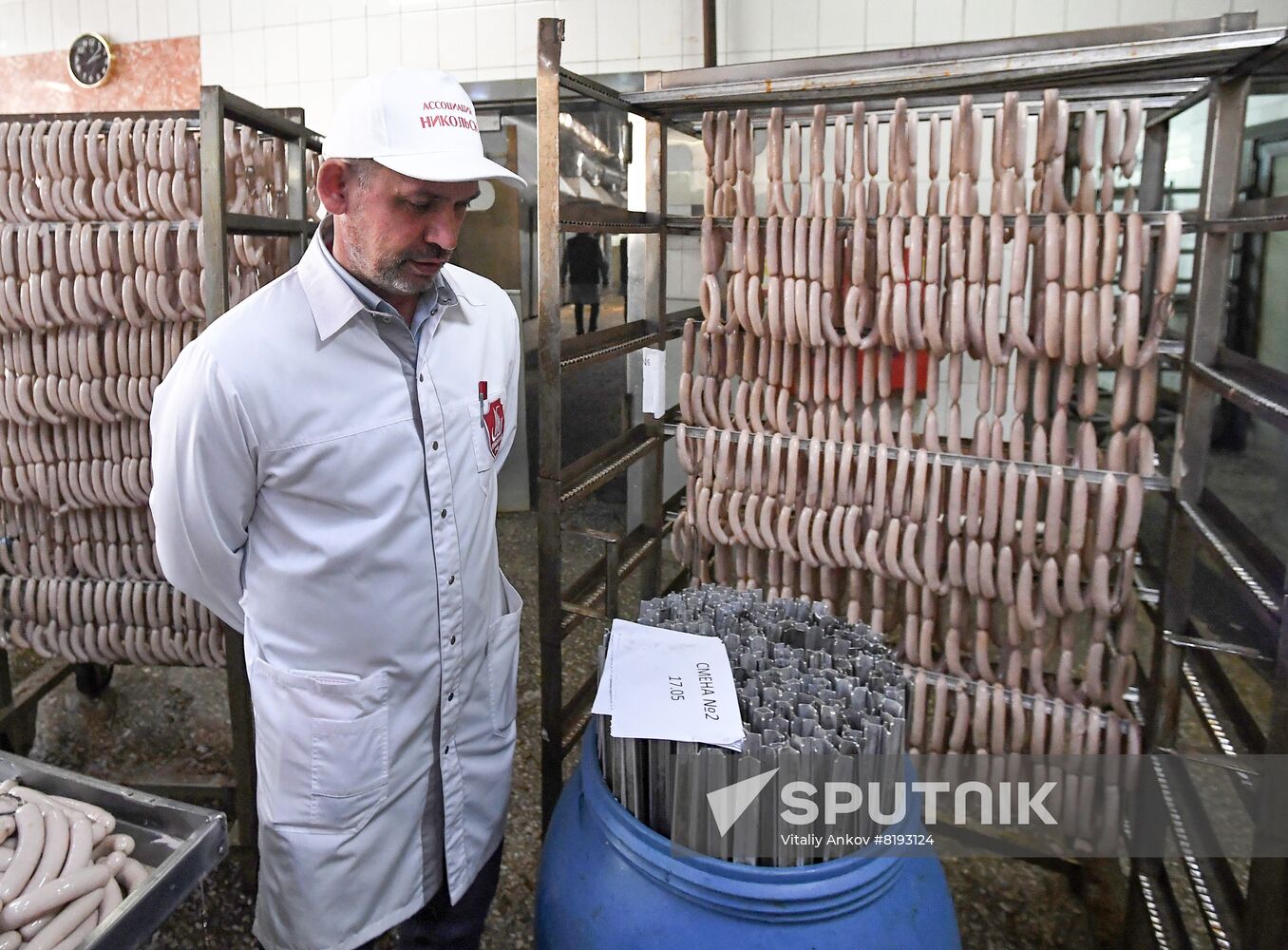 Russia Food Industry