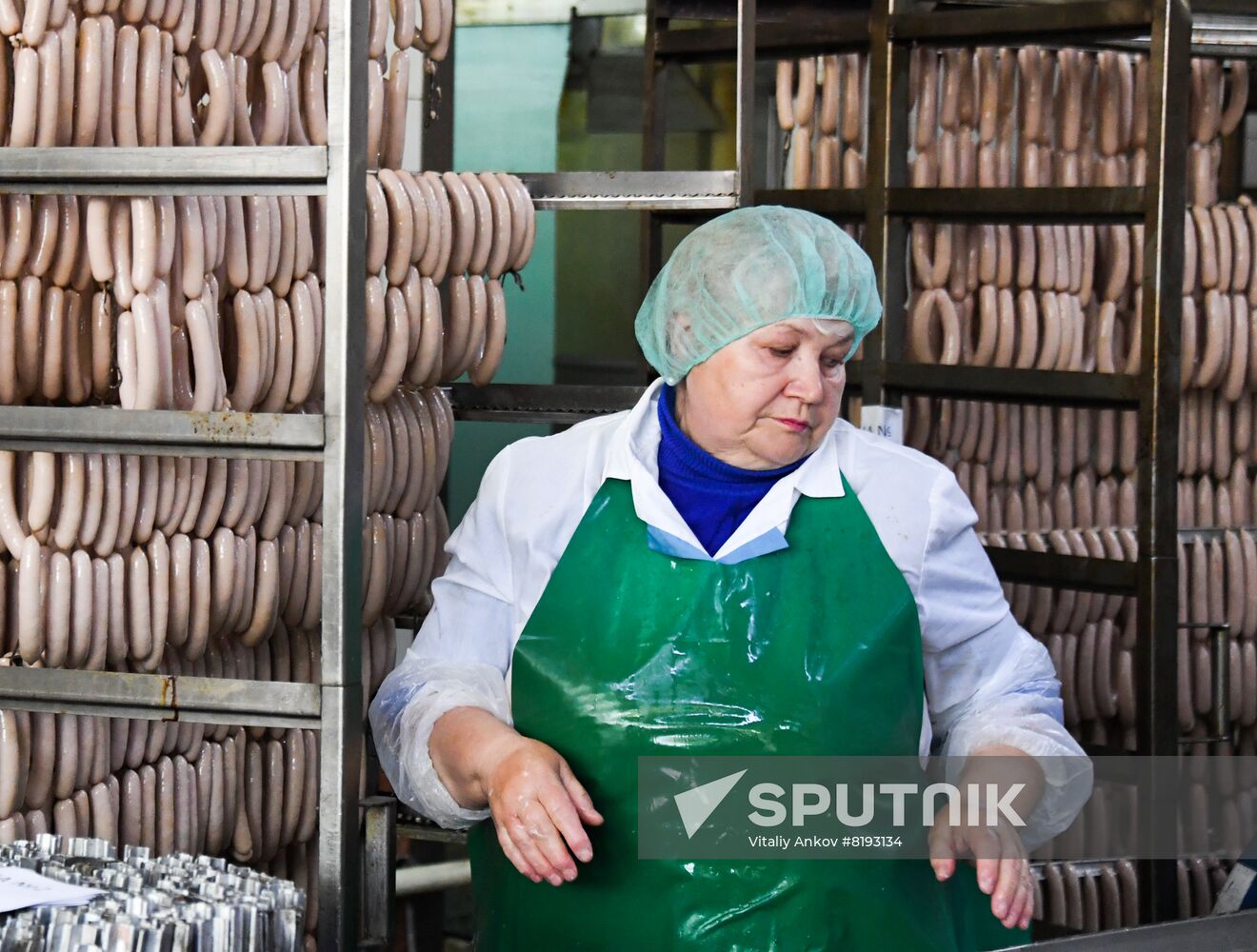 Russia Food Industry