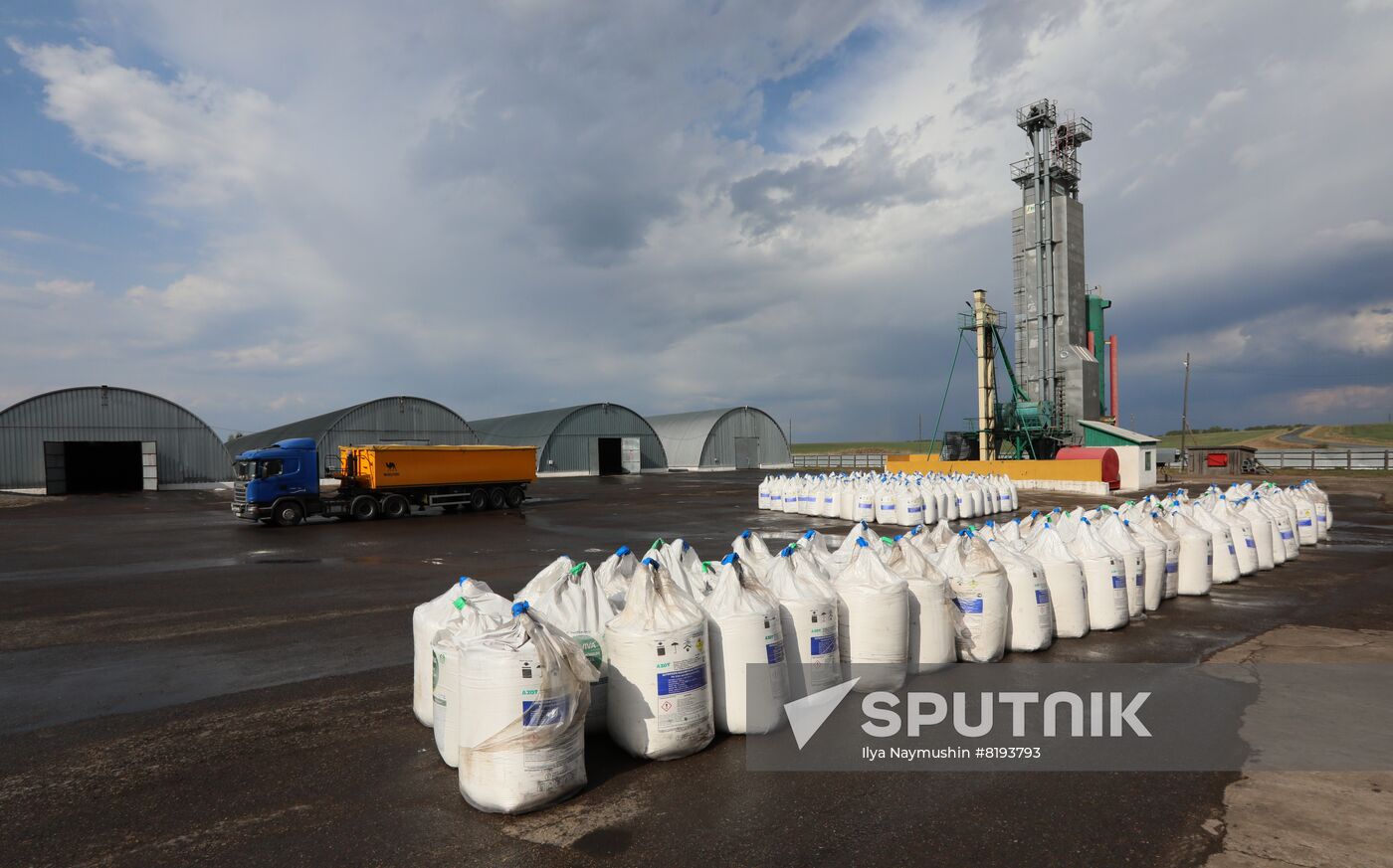 Russia Agriculture Sowing