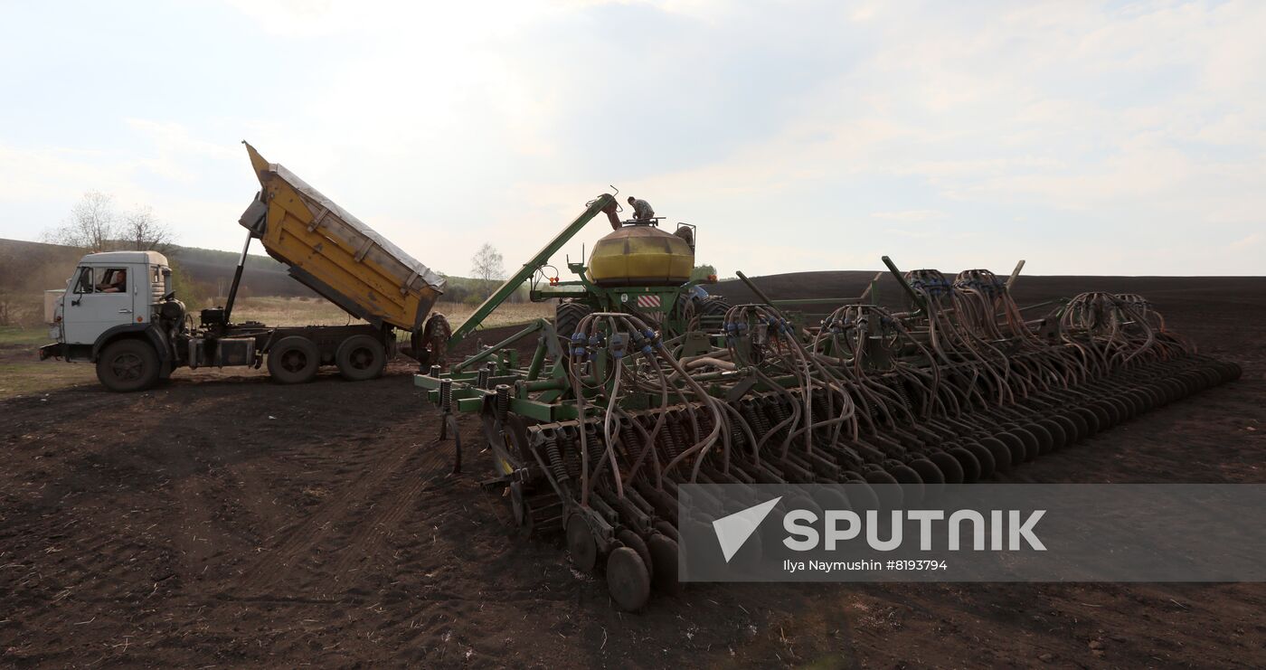 Russia Agriculture Sowing