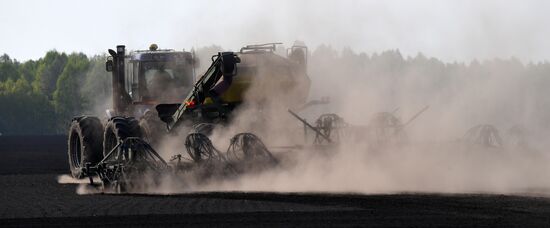 Russia Agriculture Sowing