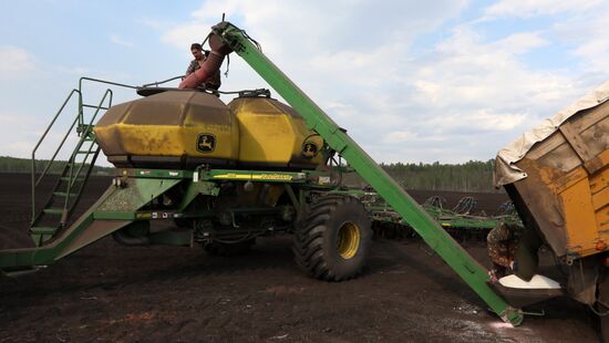 Russia Agriculture Sowing