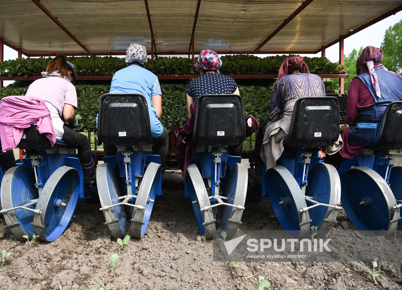 Russia Agriculture