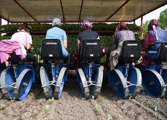 Russia Agriculture