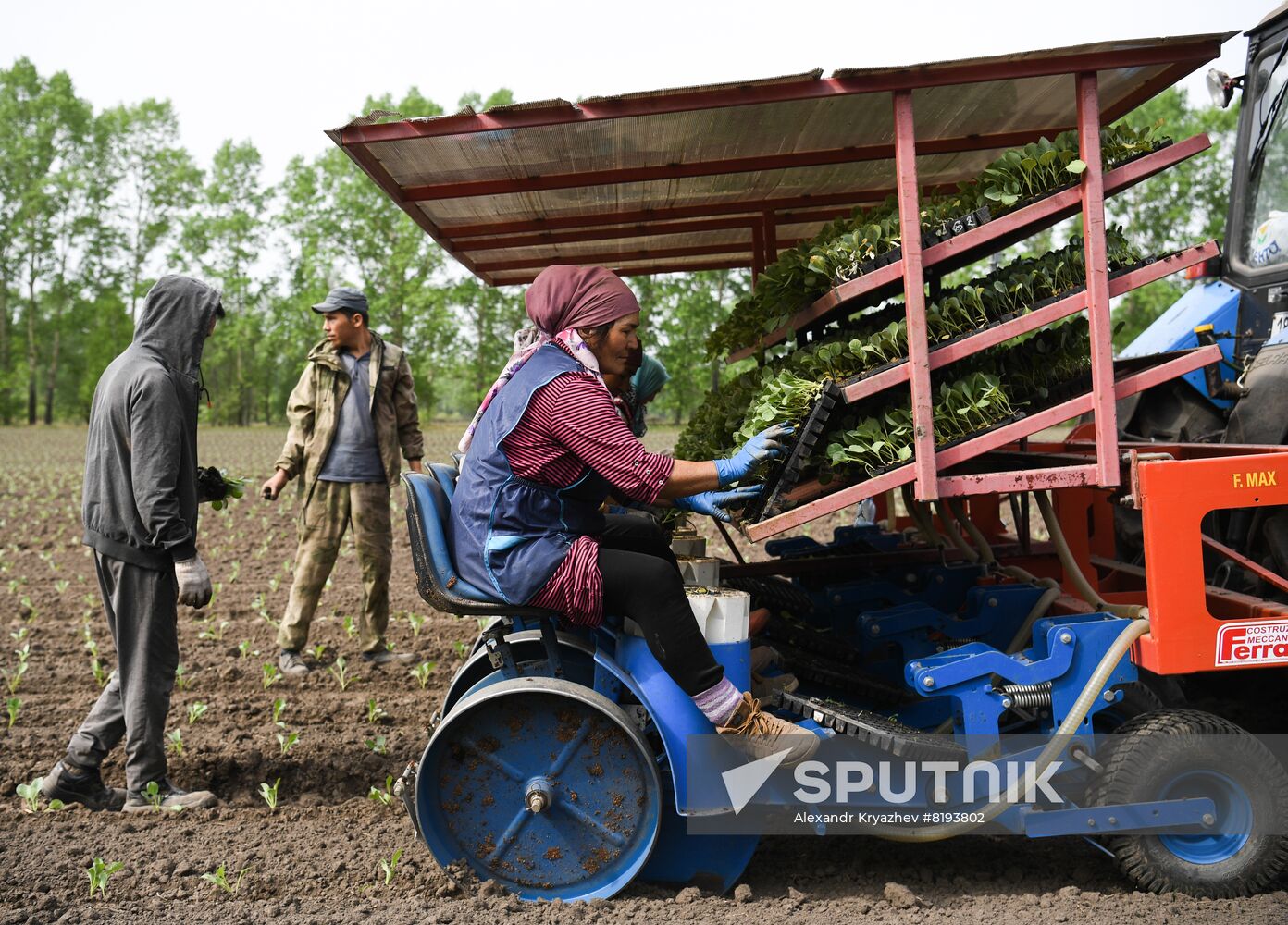 Russia Agriculture