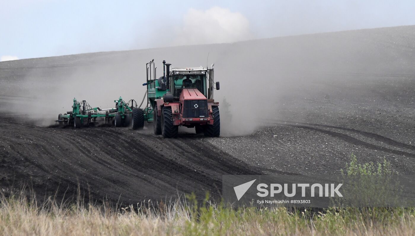 Russia Agriculture Sowing