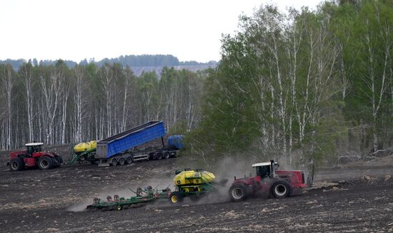 Russia Agriculture Sowing