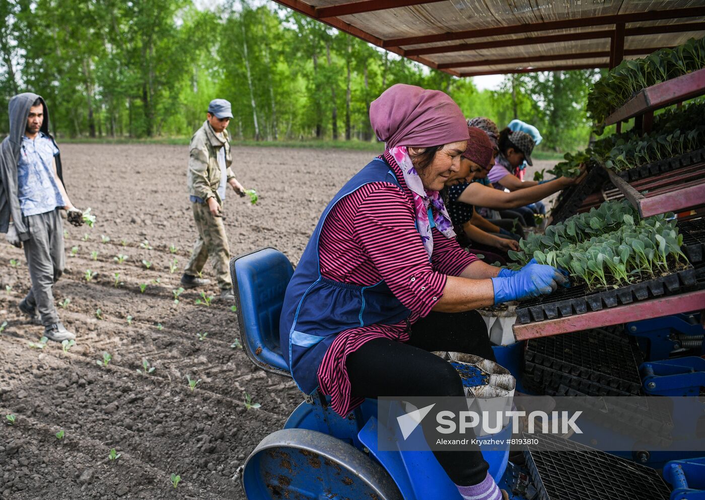 Russia Agriculture