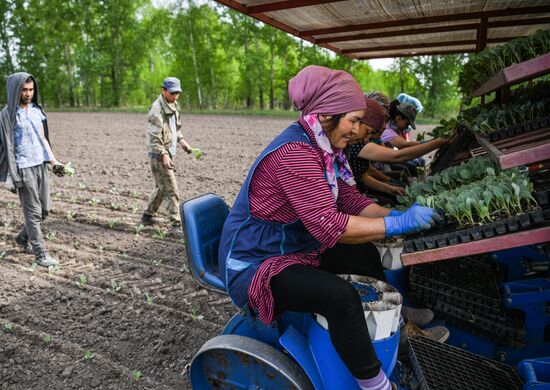 Russia Agriculture