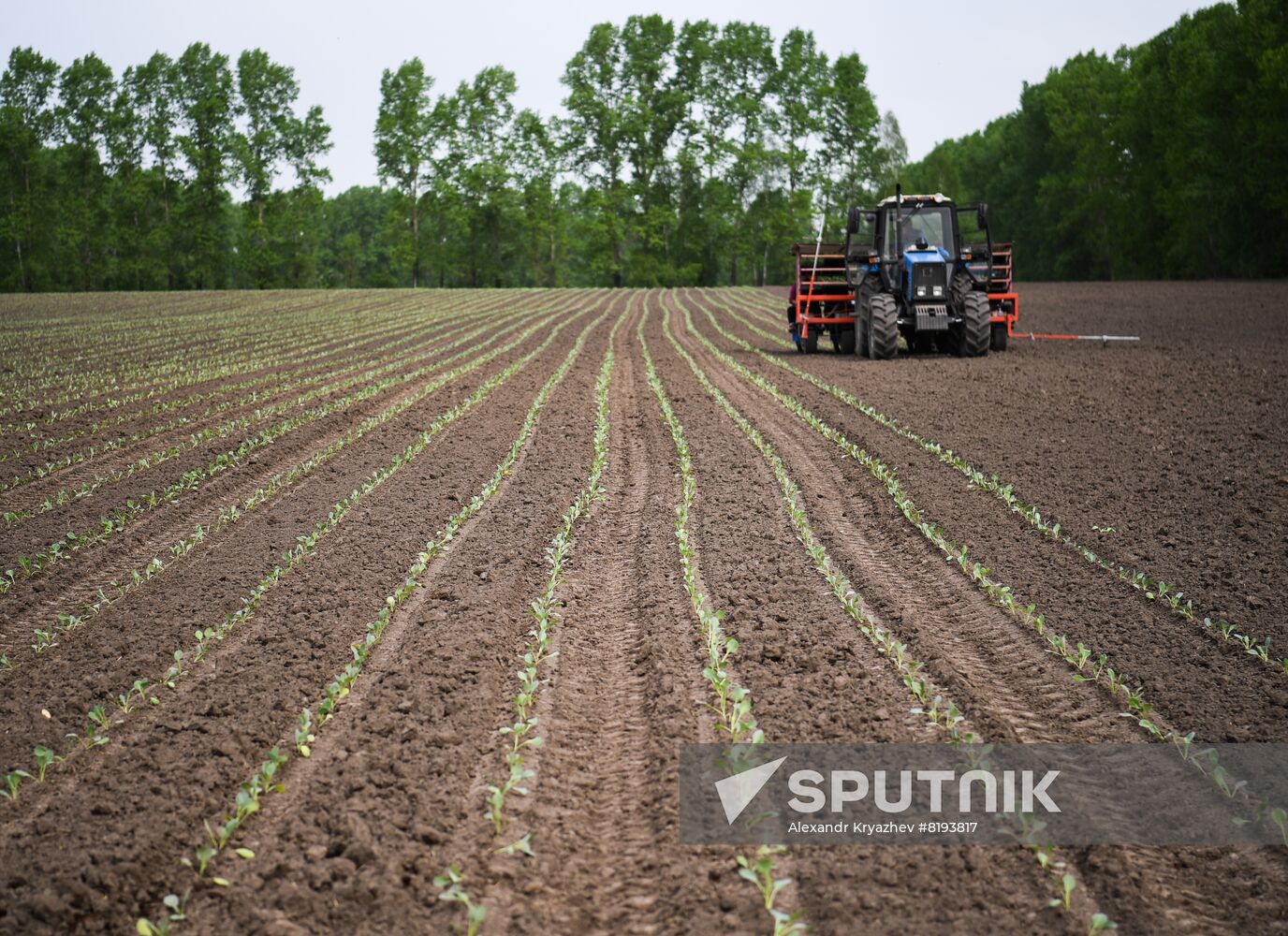 Russia Agriculture