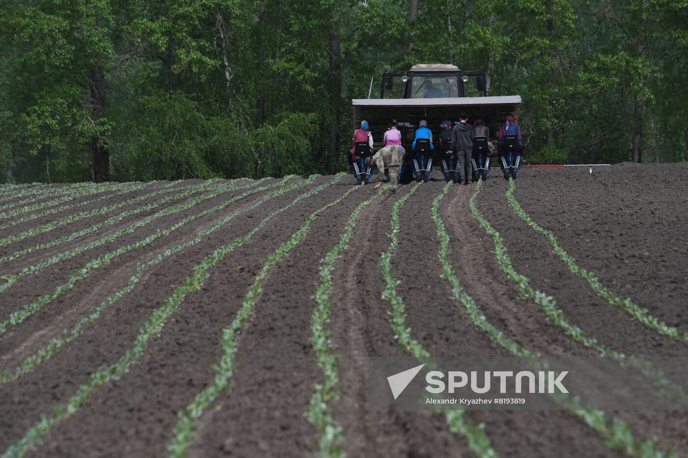 Russia Agriculture