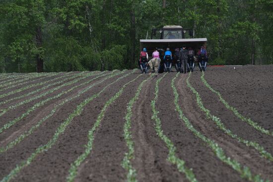 Russia Agriculture