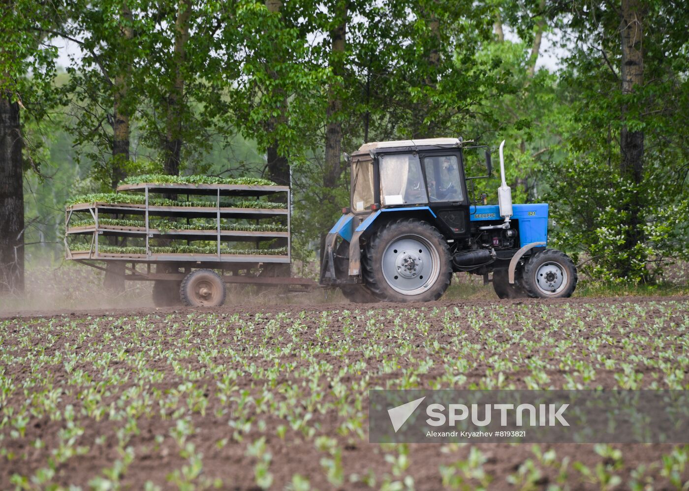 Russia Agriculture