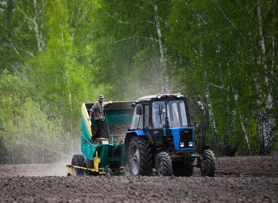 Russia Agriculture