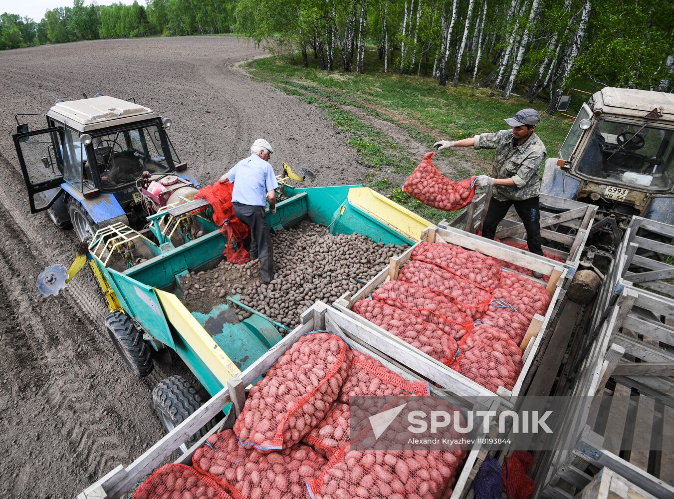 Russia Agriculture