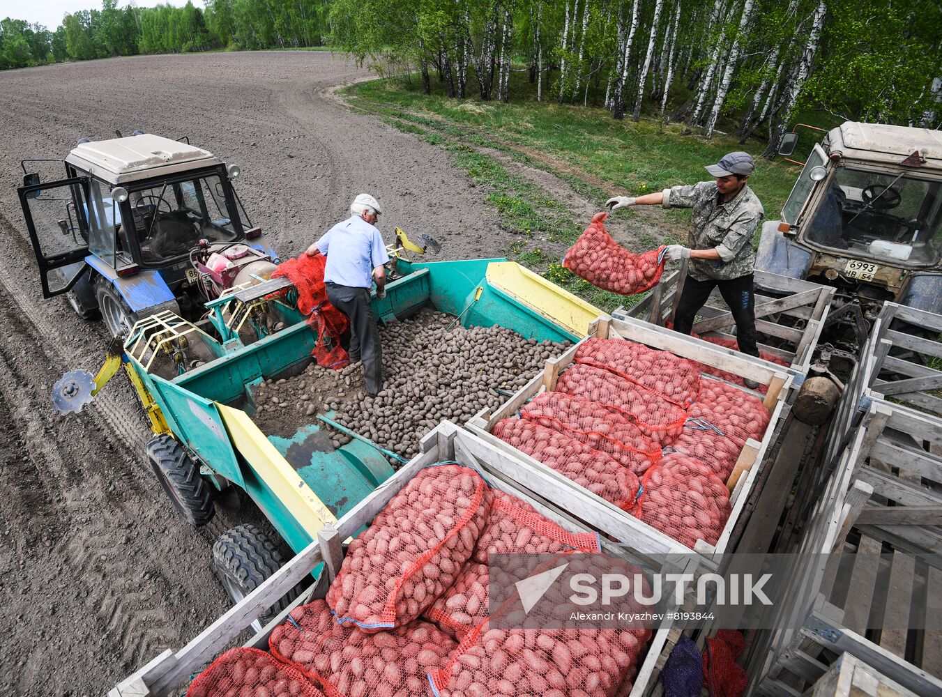 Russia Agriculture