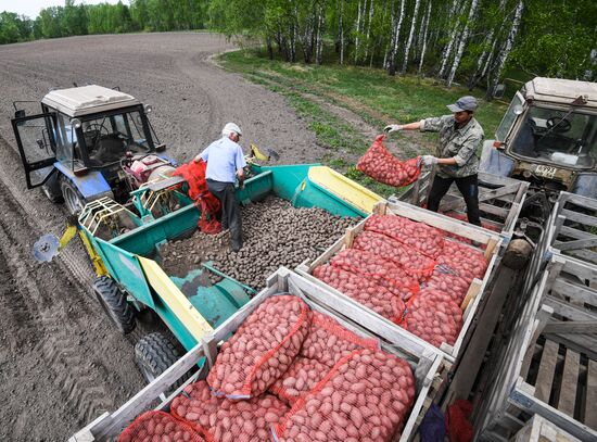 Russia Agriculture