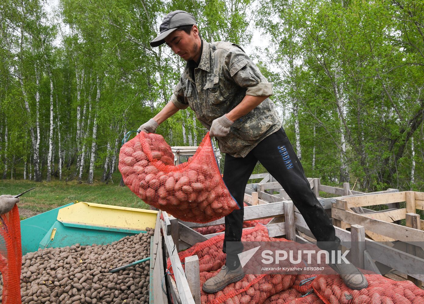 Russia Agriculture