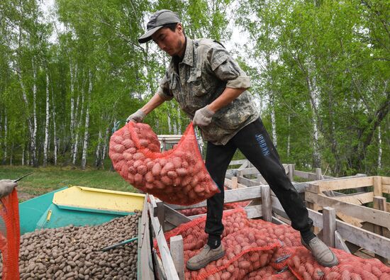 Russia Agriculture