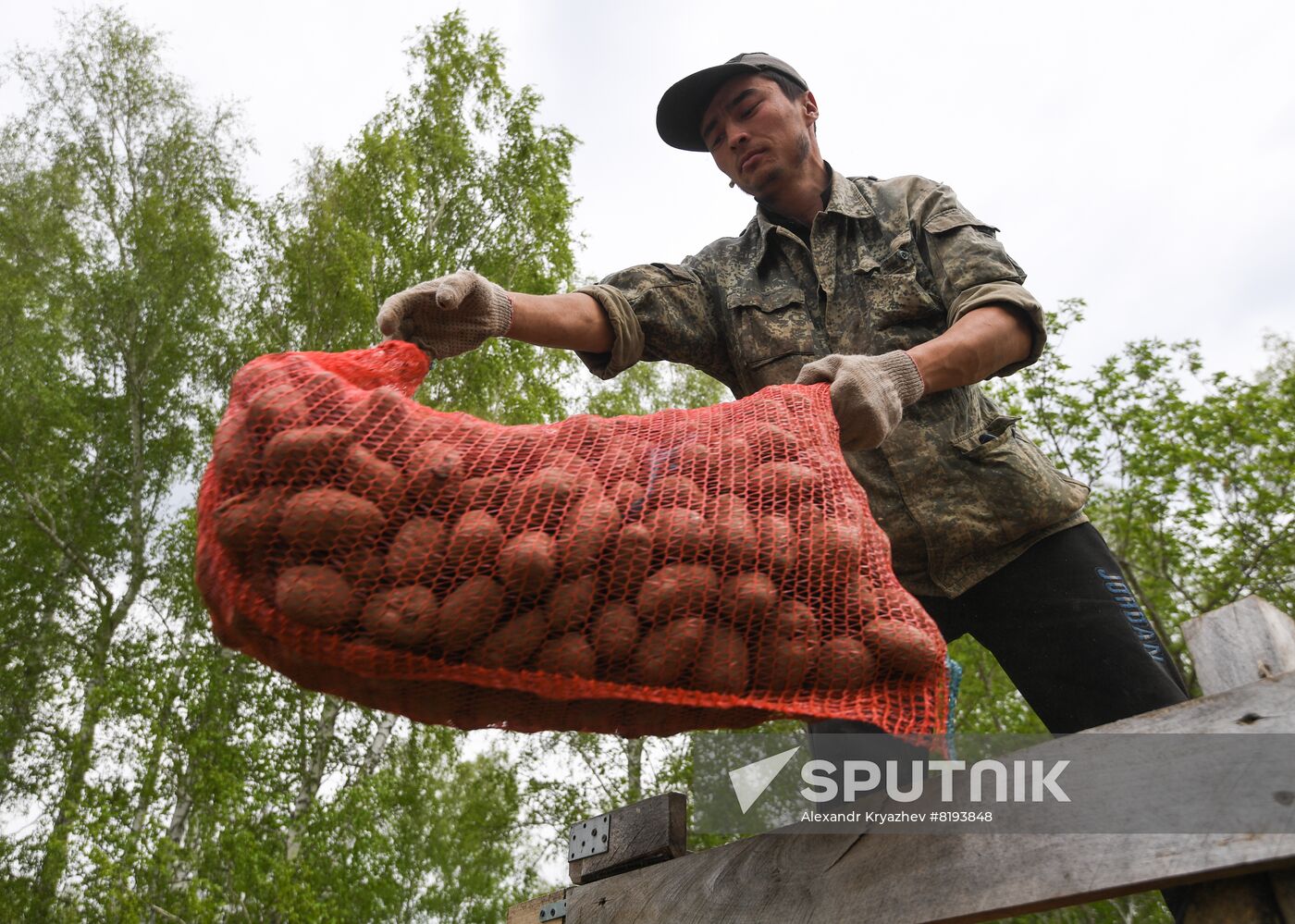 Russia Agriculture