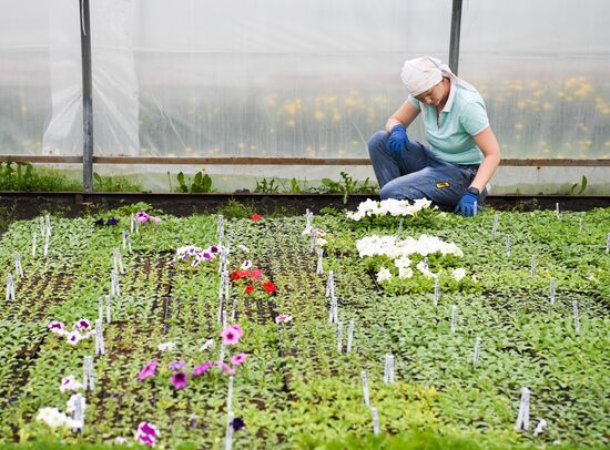 Russia Agriculture