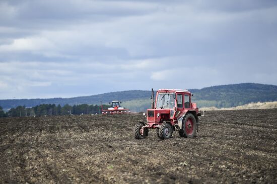 Russia Agriculture Sowing 