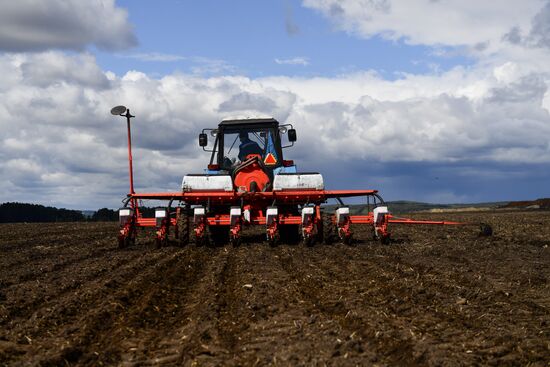 Russia Agriculture Sowing 