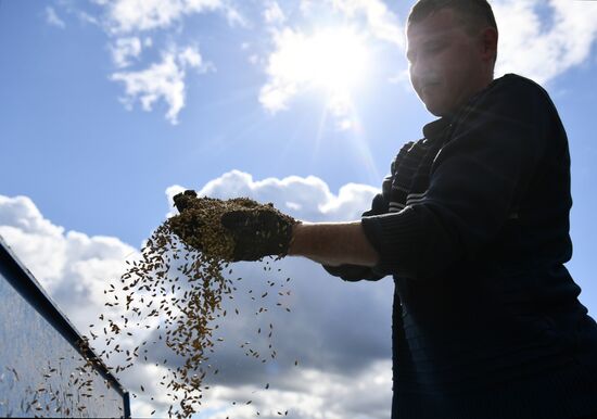Russia Agriculture Sowing 