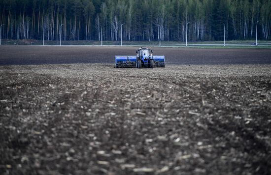 Russia Agriculture Sowing 