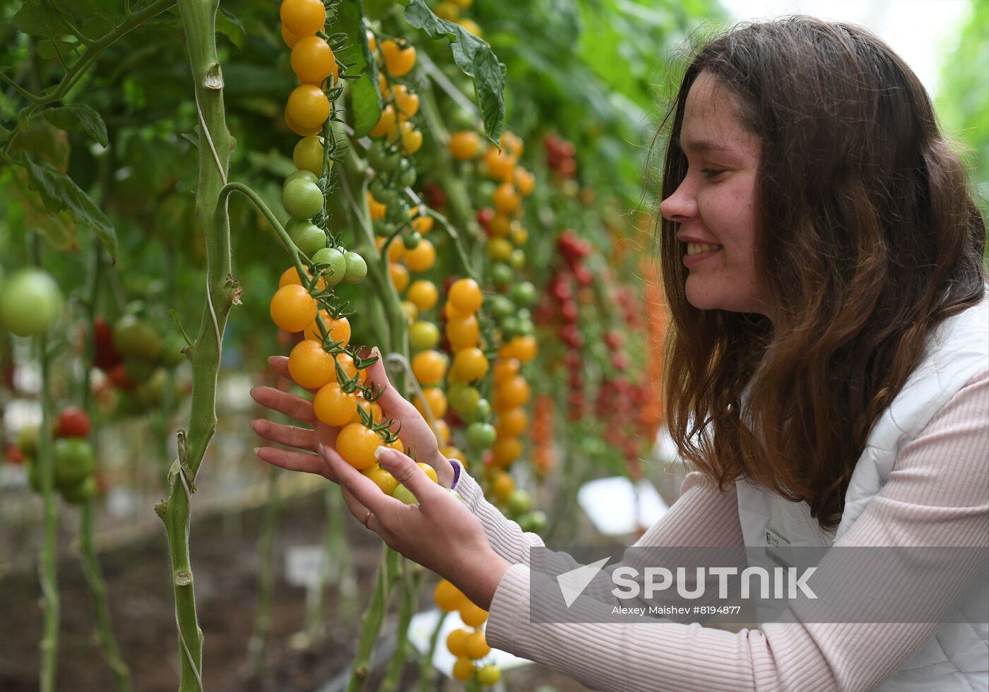 Russia Agriculture Seed Production