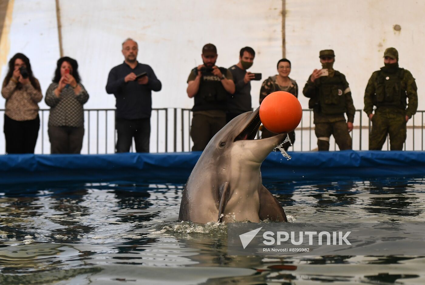 Ukraine Russia Military Operation Dolphinarium