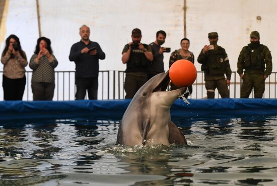 Ukraine Russia Military Operation Dolphinarium