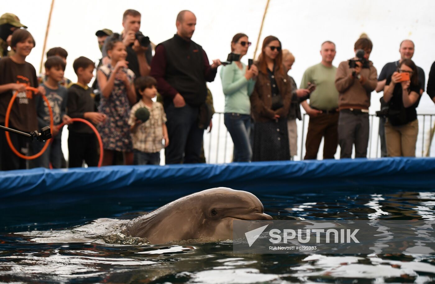 Ukraine Russia Military Operation Dolphinarium