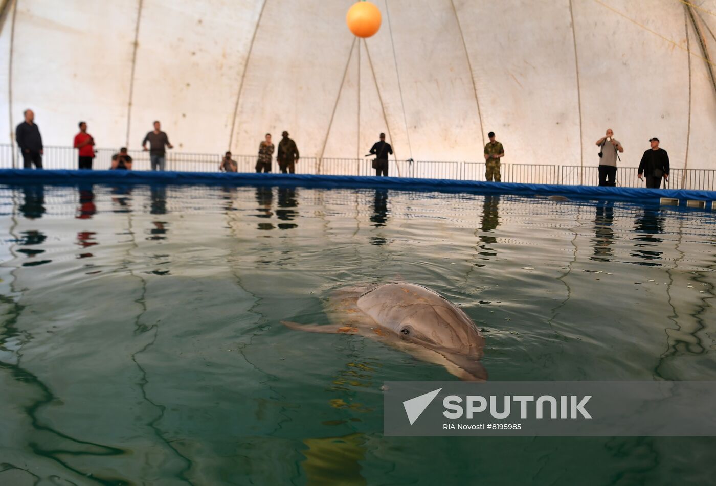 Ukraine Russia Military Operation Dolphinarium