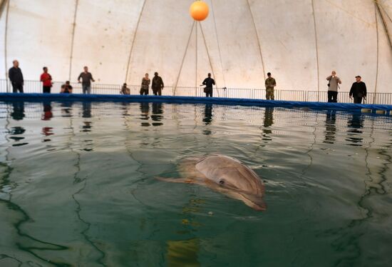 Ukraine Russia Military Operation Dolphinarium