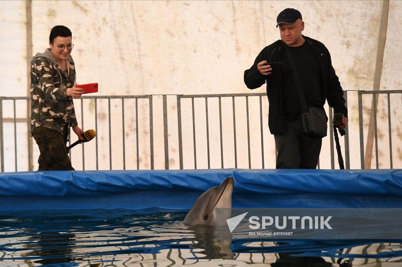 Ukraine Russia Military Operation Dolphinarium