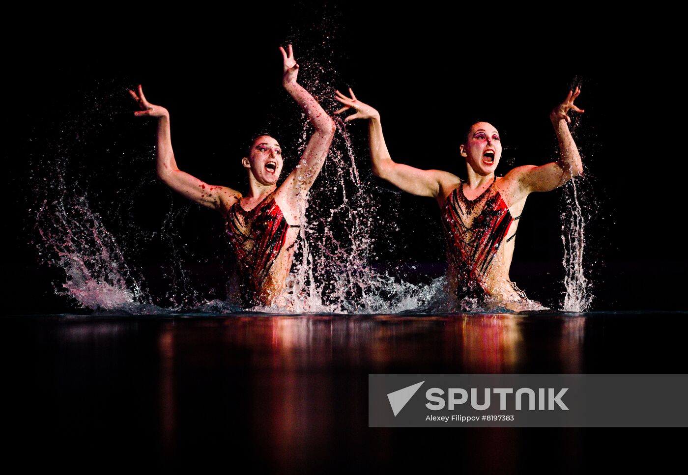 Russia Artistic Swimming Festival