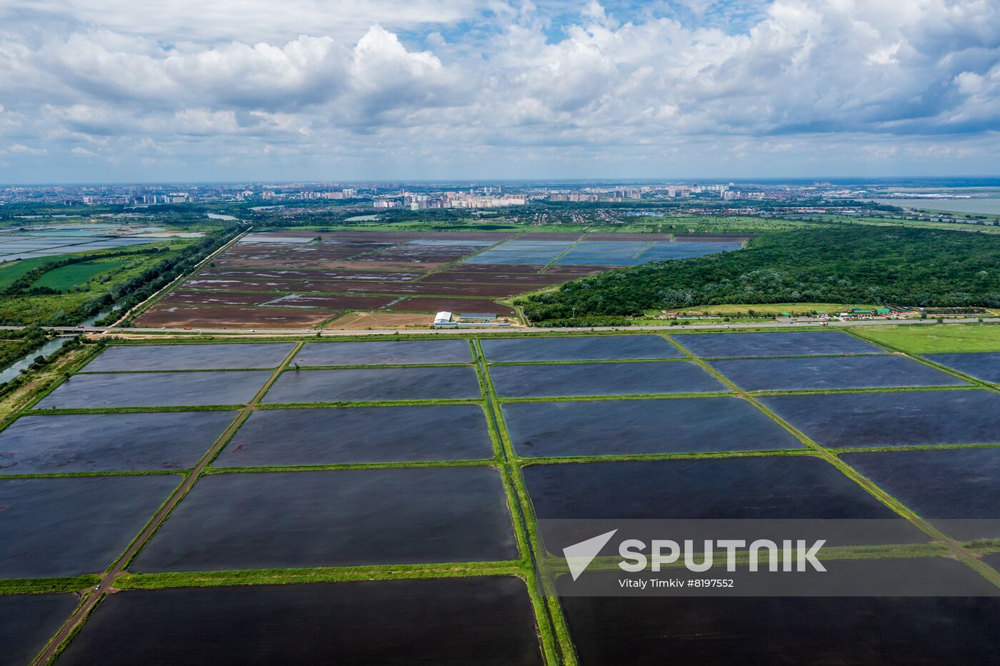 Russia Agriculture Rice