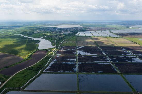 Russia Agriculture Rice