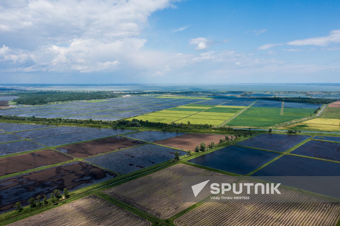 Russia Agriculture Rice