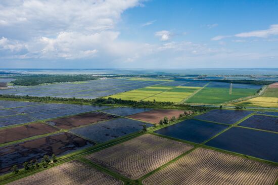 Russia Agriculture Rice