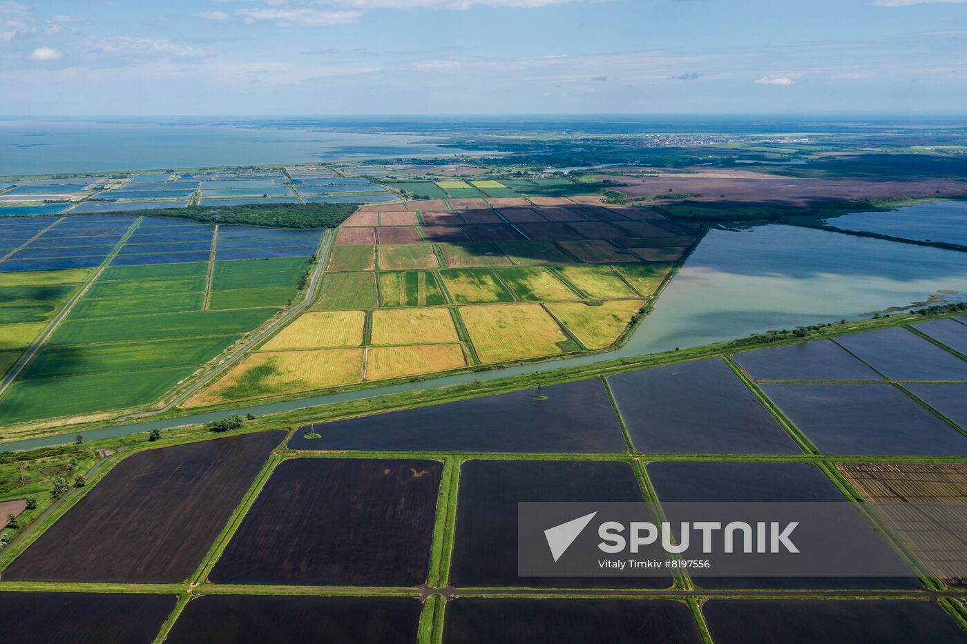 Russia Agriculture Rice
